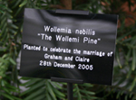 Commemorative Engraved Garden Label